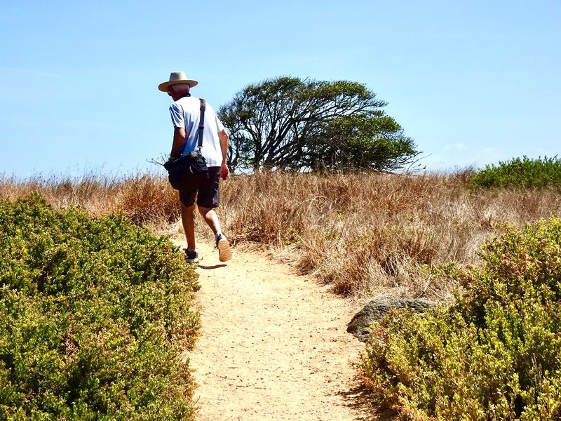 Walking across Griffiths Island