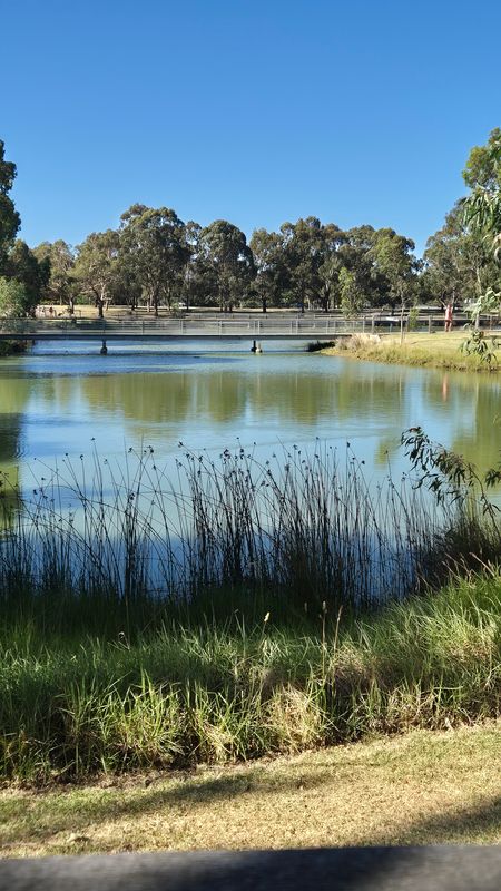 Elsternwick Park