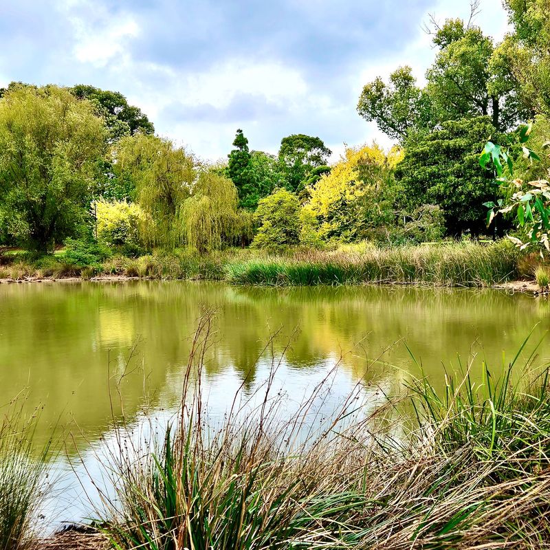Landcox Park, lake