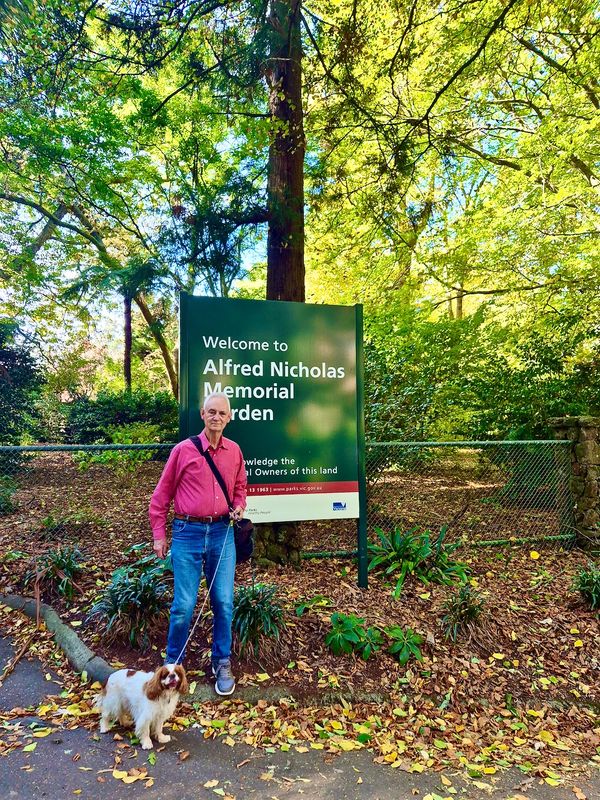 Alfred Nicholas Memorial Gardens, Dandenong Ranges