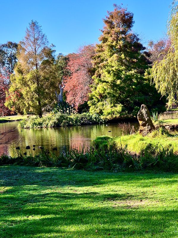 Lake, Cruden Farm