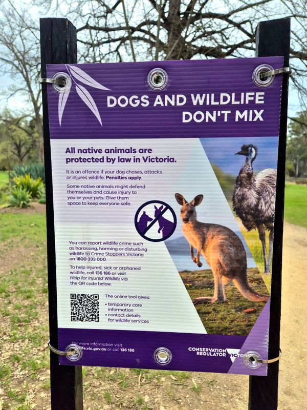 Castlemaine Botanic Gardens