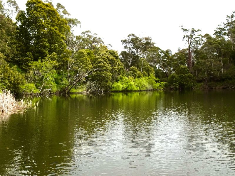Visiting Daylesford