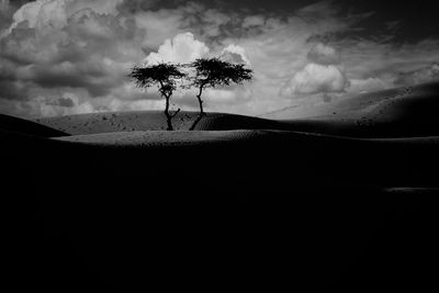 sand dunes Jaisalmer DSC 31726.jpg