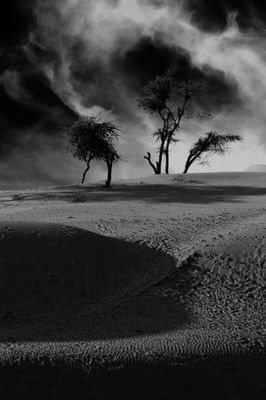 sand dunes Jaisalmer- Rajasthan DSC 31729-1.jpg