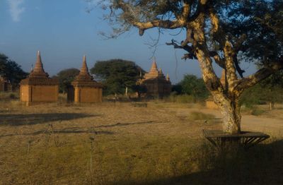 _DSF4238.jpg