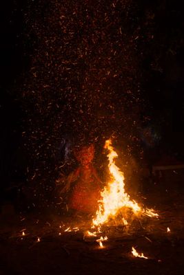 _DSF5859.jpg