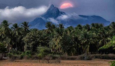 sunrise Anamalai hills_DSF5811.jpg