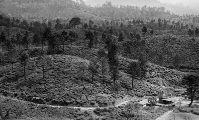 old temple valparai_DSF6011.jpg