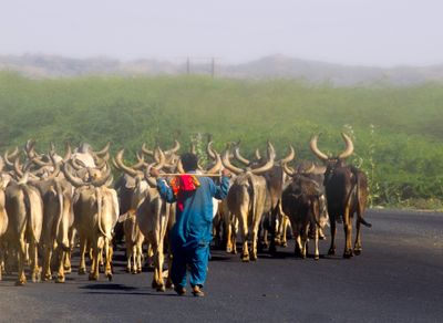bhuj_gujarat