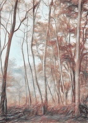 autumn Valparai woodland.jpg