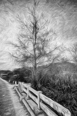 _DSF8147 gokhrana road.jpg