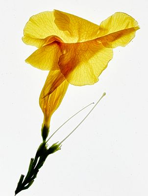 IMG_5277.jpg