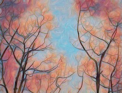 _DSF6125-autum colours.jpg