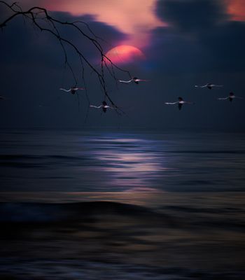 end of the day_DSF9082- 3.jpg