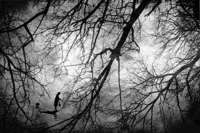 seascapes_monochrome