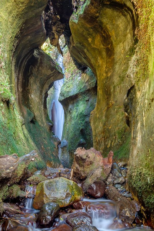 DSCF6290.jpg