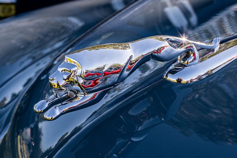 49 Monarch