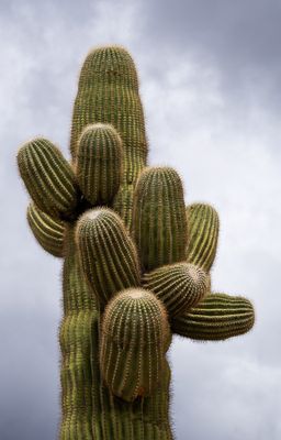 DSCG3561.jpg