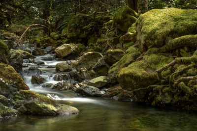 Vancouver Island