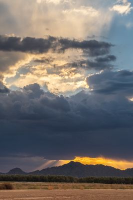 Arizona