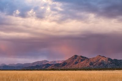 Arizona