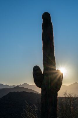 Arizona