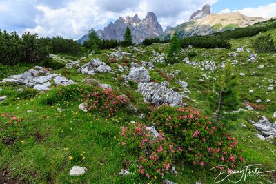 View from Tre Cime