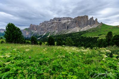 g13/72/714372/3/174774621.8a7b4501.JPEG