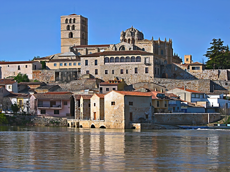 Zamora
