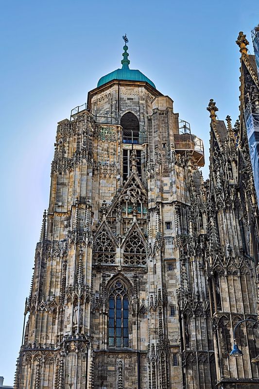 Viena