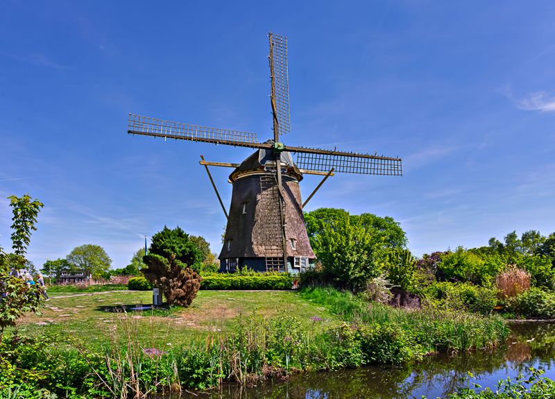 msterdam