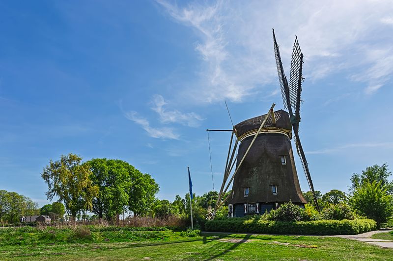 msterdam