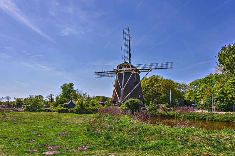 msterdam