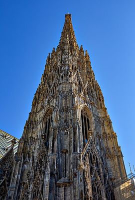 Viena
