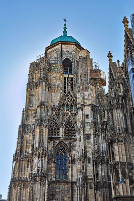 Viena