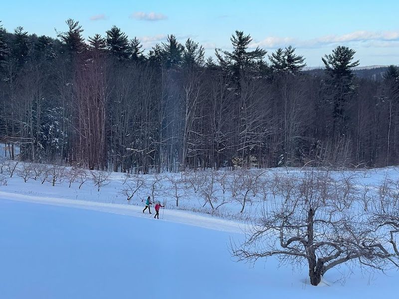 XC Ski - Five Fields Farm 