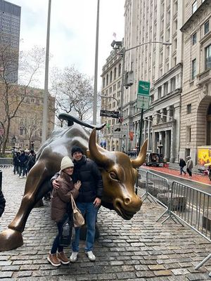 The Bull on Wall Street