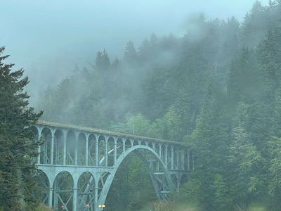 http://thewestendnews.com/oregon-covid-and-lady-slippers/