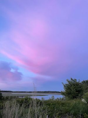 Color over the marsh