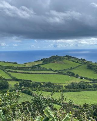 Pico fields
