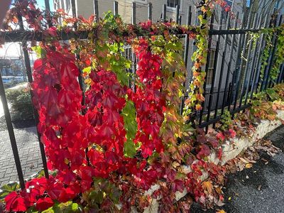 High St...gate~way to the West End