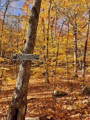 Mt Roberts Trail, NH