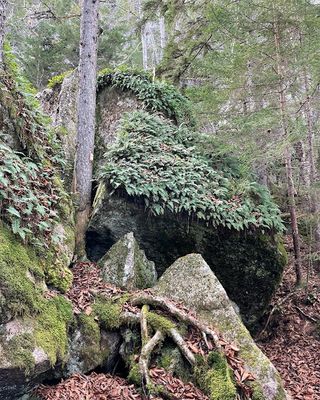 on the trail to Beech Mountain