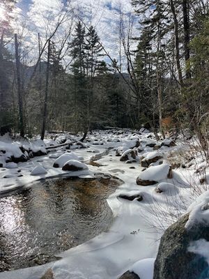 Greely Pond Trail -