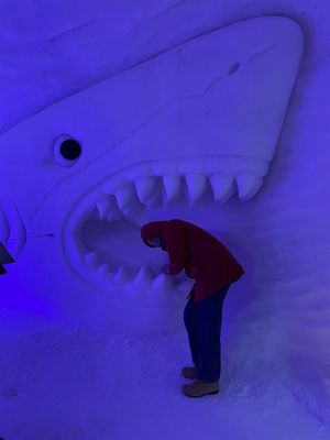 IMG_0172.JPG