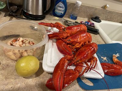 Lobsters in Tennessee