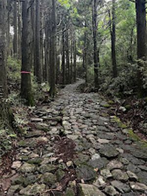 https://thewestendnews.com/tokyos-ancient-roads/