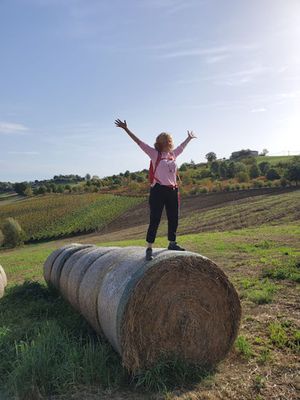Hay!