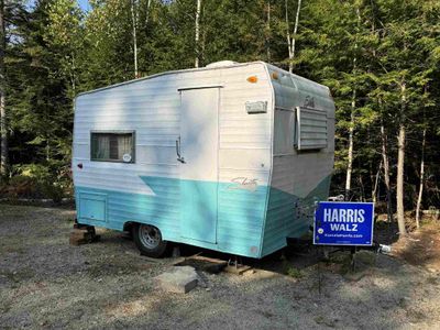 Shasta supporting Harris/Walz